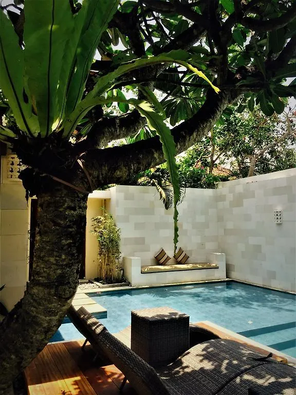 Arama Poolside Villa Seminyak
